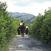 Adare Manor offers Horse Riding packages